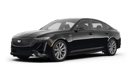 Image Vehicle Information