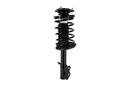 Suspension Strut and Coil Spring Assembly