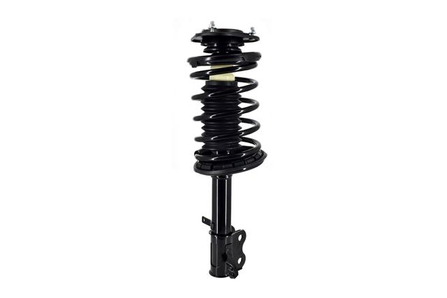 Suspension Strut and Coil Spring Assembly