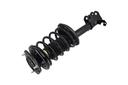 Suspension Strut and Coil Spring Assembly