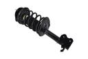 Suspension Strut and Coil Spring Assembly