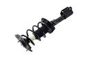 Suspension Strut and Coil Spring Assembly