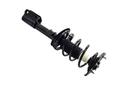 Suspension Strut and Coil Spring Assembly