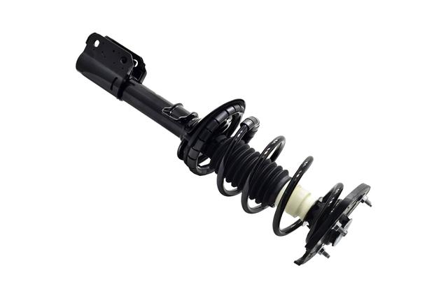 Suspension Strut and Coil Spring Assembly