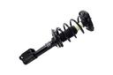 Suspension Strut and Coil Spring Assembly