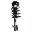 Suspension Strut and Coil Spring Assembly