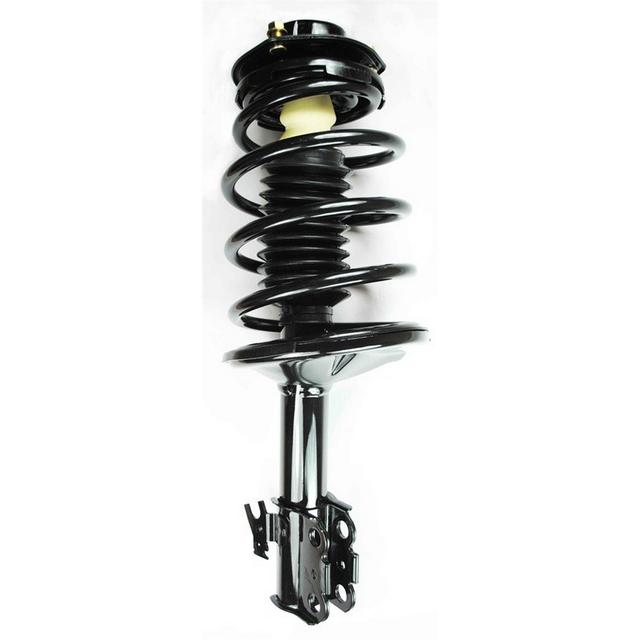 Suspension Strut and Coil Spring Assembly