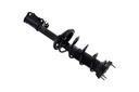 Suspension Strut and Coil Spring Assembly