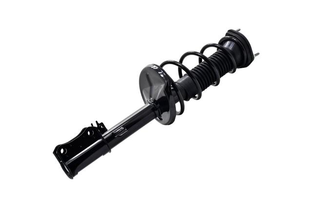 Suspension Strut and Coil Spring Assembly