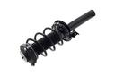 Suspension Strut and Coil Spring Assembly