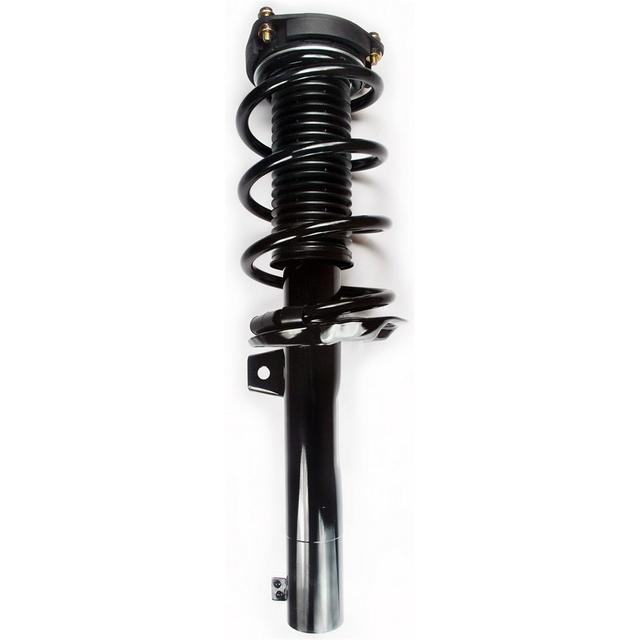 Suspension Strut and Coil Spring Assembly