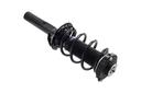 Suspension Strut and Coil Spring Assembly