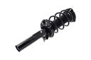 Suspension Strut and Coil Spring Assembly