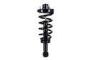 Suspension Strut and Coil Spring Assembly