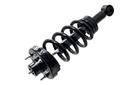 Suspension Strut and Coil Spring Assembly
