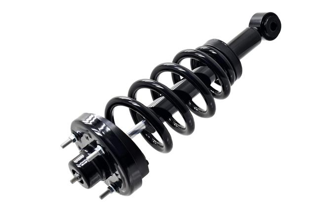 Suspension Strut and Coil Spring Assembly