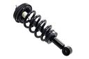 Suspension Strut and Coil Spring Assembly