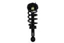 Suspension Strut and Coil Spring Assembly