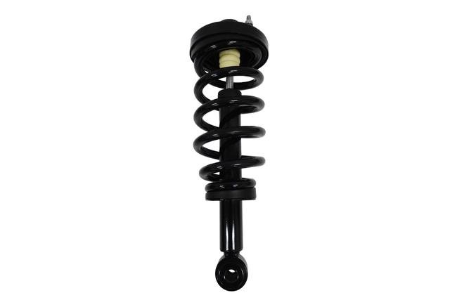 Suspension Strut and Coil Spring Assembly