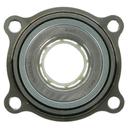 Rear Wheel Bearing and Hub Assembly