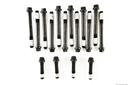 Engine Cylinder Head Bolt Set