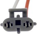 GM Light Socket With Pigtails
