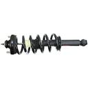 Quick-Strut Rear Suspension Strut and Coil Spring Assembly