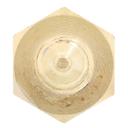 Cylinder Head Temperature Sensor with Washer