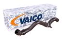 Radiator Coolant Hose