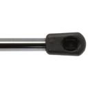 Liftgate Lift Support