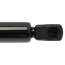 Liftgate Lift Support