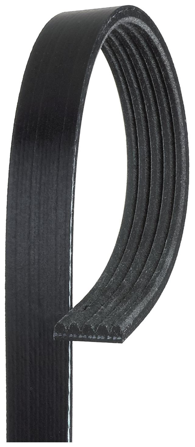 Micro-V Serpentine Drive Belt