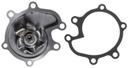 Premium Engine Water Pump