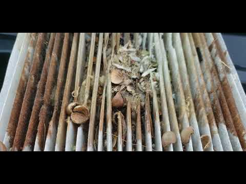 How to replace a ac cabin filter on a 2018 toyota avalon