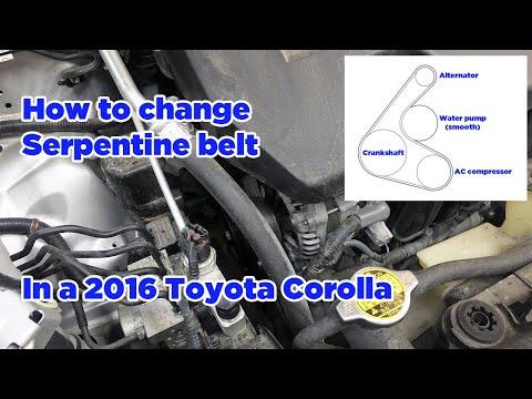 How to Replace the Serpentine Belt on a 2011-2019 Toyota Corolla (Trim: S | Engine: Inline 4 1.8L)
