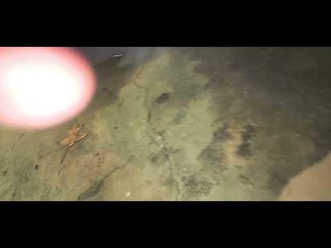 How to Replace the Starter Motor on a 2005-2009 Ford Escape (Step-by-Step Guide) (Engine: Inline 4 2.3L)