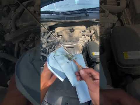 Oil change on a 2016 Toyota Camry xse 4-cylinder!!   (STEP BY STEP)
