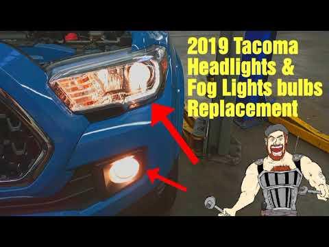 2019 - 2021 TOYOTA TACOMA Headlights Bulbs &amp; Fog Lamp Bulbs Replacement | 2019 2020 2021