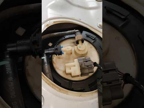 fuel pump leaking Altima 2020// #vehicle #mechanic #machinery #nissan #trending #shorts