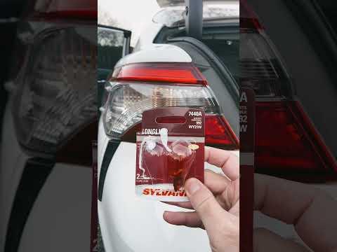 2019 Camry taillight bulb replacement