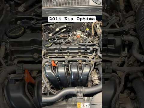 2014 Kia Optima Spark Plug Change #trending #foryou #carmaintenance #sparkplug #kiaoptima