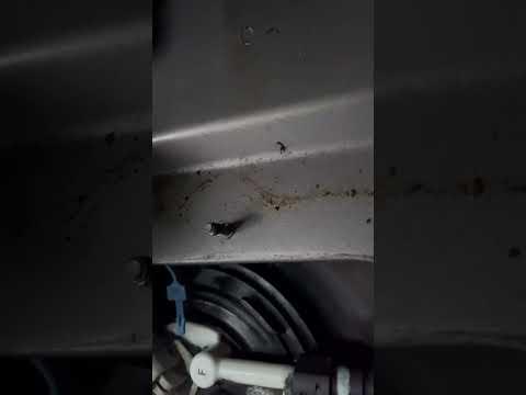 How to Replace the Fuel Pump Module on a 2016 Buick Regal (In-Tank Pump)