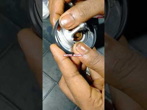 How to Replace the Thermostat on a 1998-2019 Toyota Corolla (Coolant Drain & Refill) (Trim: LE | Engine: Inline 4 1.8L)