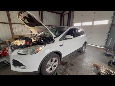 2013-2019 Ford Escape Lower Radiator Hose