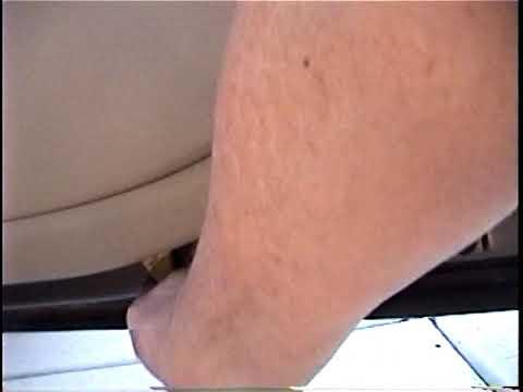 How to Replace a Rear Window Regulator on a 2015 Ford Fusion (Left or Right)