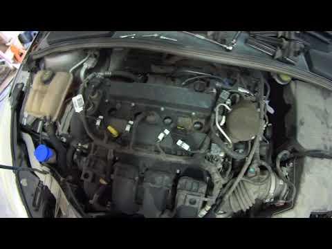How to Replace Spark Plugs on a 2012-2018 Ford Focus (Step-by-Step Guide) (Engine: Inline 4 2.0L)