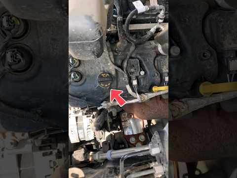 How to Change the Engine Oil and Oil Filter on a 2016 Ford F-150